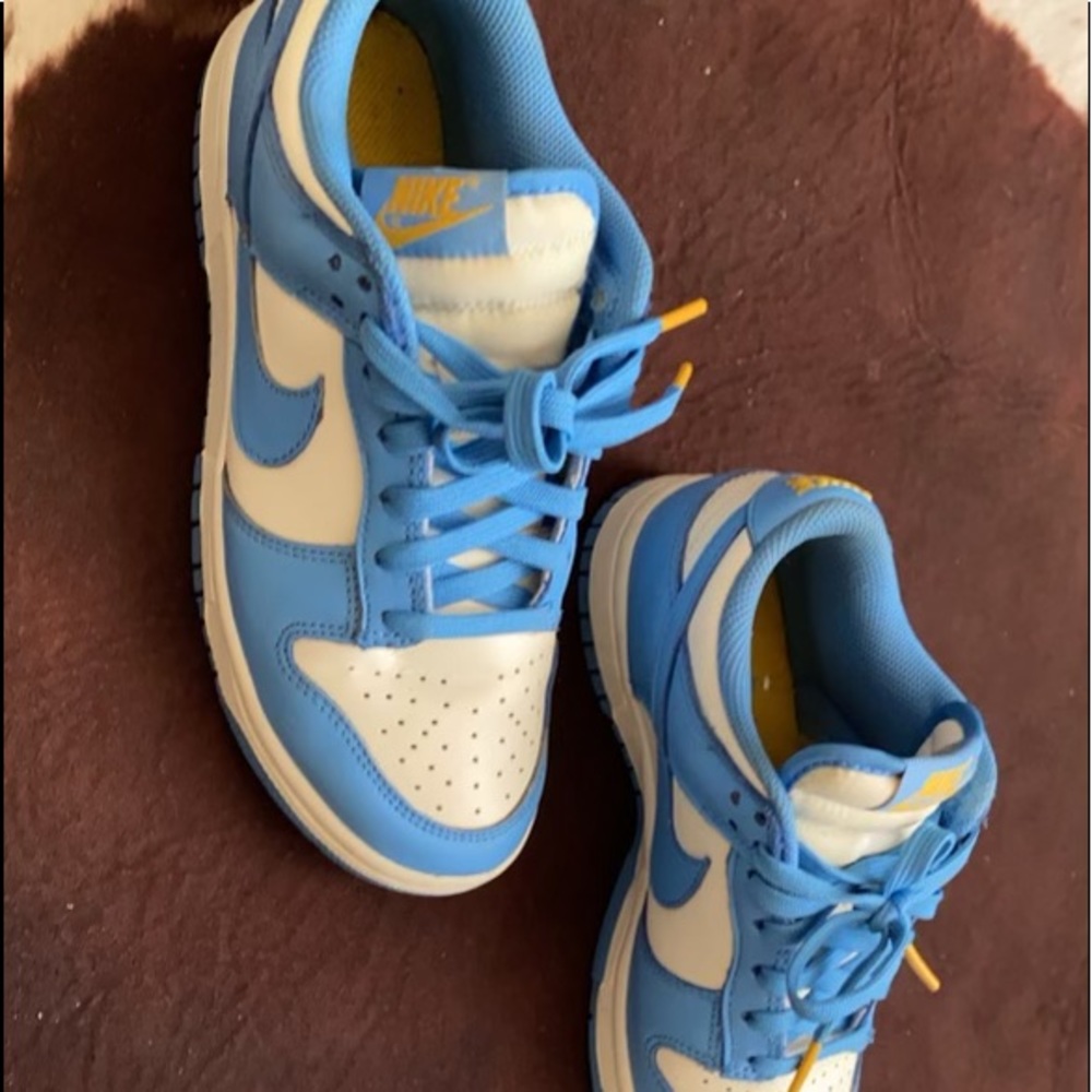 Nike Dunk Low Coast
